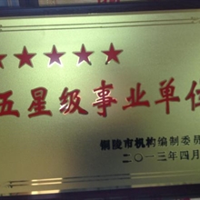 五星级事业单位